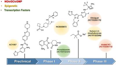 Perspectives and challenges to discovering hemoglobin-inducing agents in Sickle Cell Disease